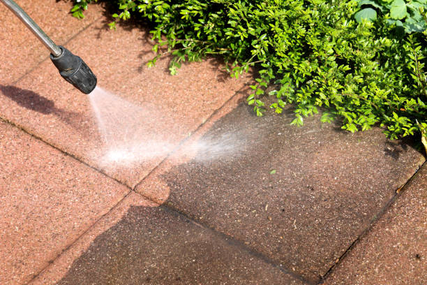 Best Exterior Home Cleaning  in Eagar, AZ